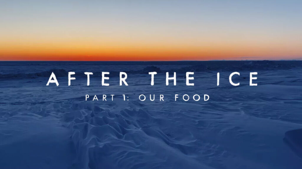 after the ice part 1: our food