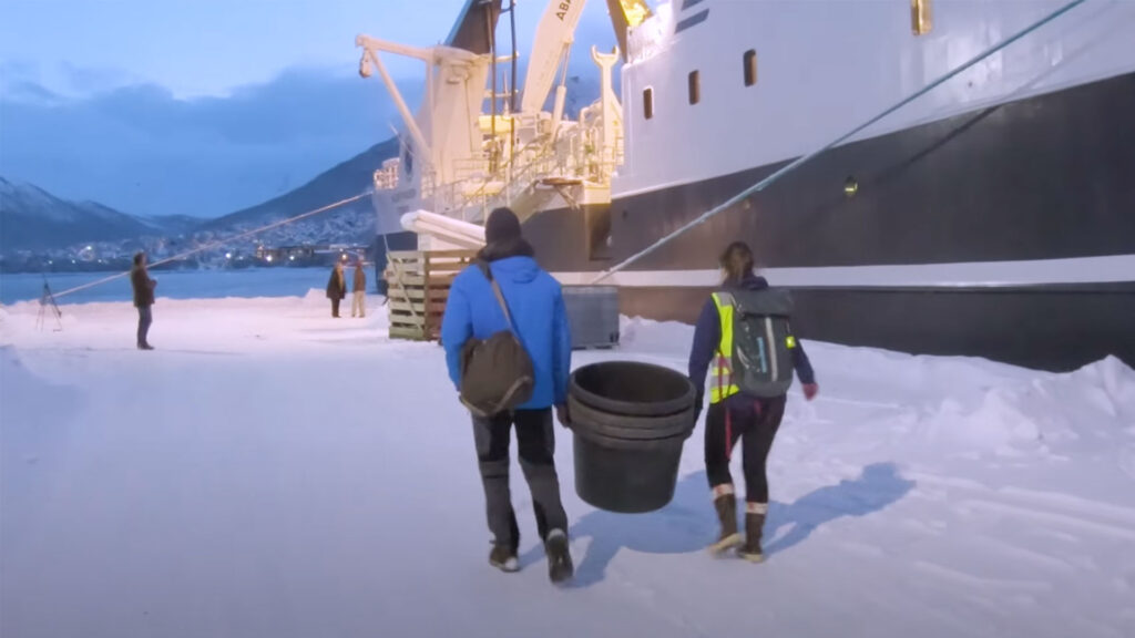 two people on an ice exploration