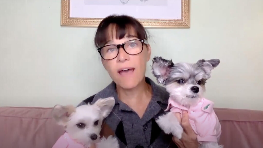 two dogs being held by owner
