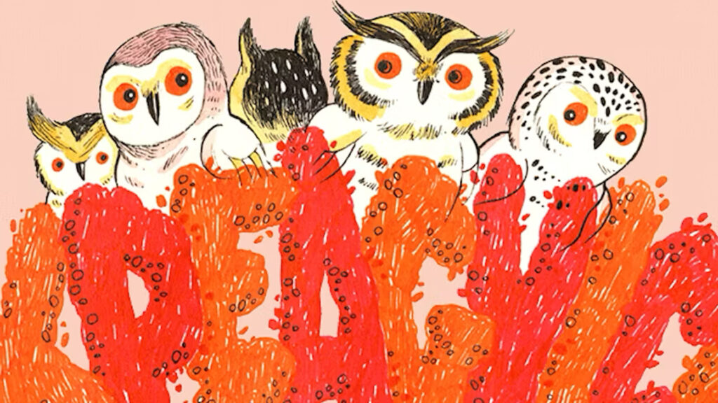 illustrated owls